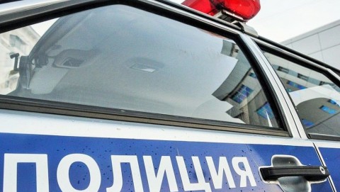 В Залесовском районе полицейские установили подозреваемых в незаконной рубке берез