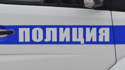 Житель Залесовского района подозревается в краже трех сосен